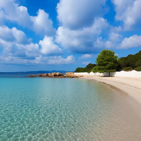 Wind Rose Exclusive -Natural Pool 50 M From The Sea Holiday home Olbia