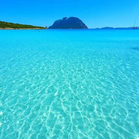 Dom wakacyjny Wind Rose Exclusive -natural Pool 50 M From The Sea