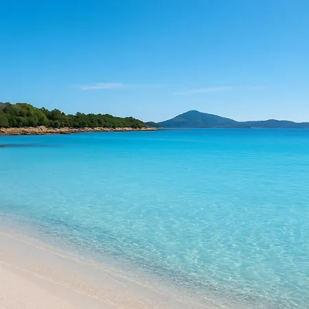 Wind Rose Exclusive -natural Pool 50 M From The Sea * Olbia