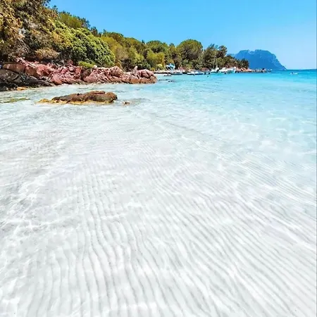 Wind Rose Exclusive -natural Pool 50 M From The Sea Dom wakacyjny Olbia