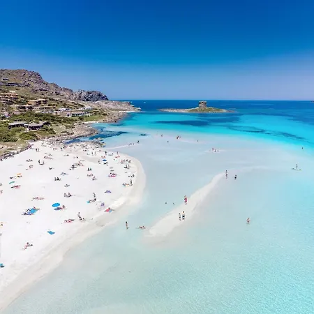 Wind Rose Exclusive -natural Pool 50 M From The Sea Olbia