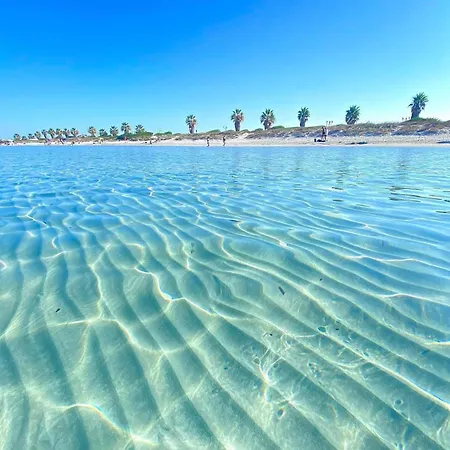 Wind Rose -group House Near The Sea 度假居 奧爾比亞