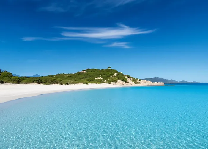 בית נופש Wind Rose -group House Near The Sea אולביה