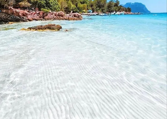 Wind Rose -group House Near The Sea בית נופש אולביה