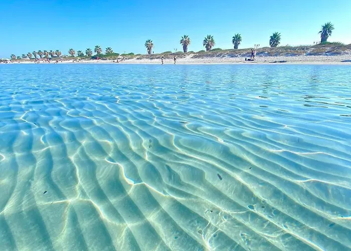 Wind Rose -group House Near The Sea בית נופש אולביה